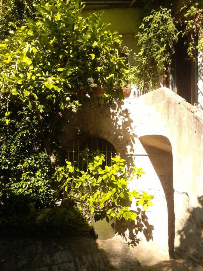 Nonna Anita Bed & Breakfast Castelveccana Exterior photo